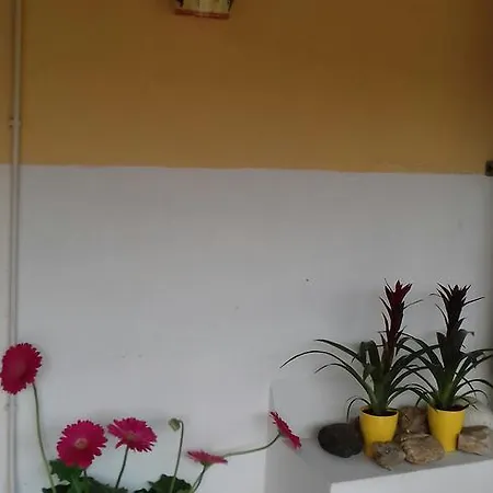 La Casa De L Bal * Vimioso