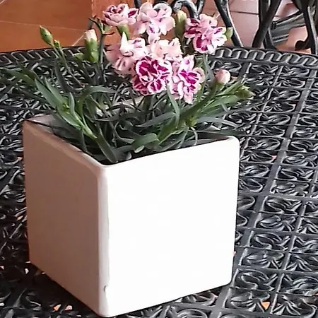 La Casa De L Bal Farmház *